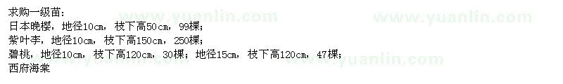 求購日本晚櫻、紫葉李、碧桃、西府海棠