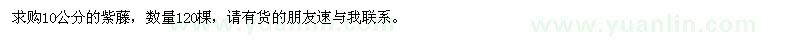 求購10公分的紫藤