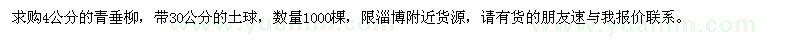 求購4公分的青垂柳
