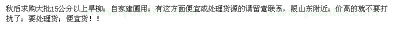 求購15公分以上旱柳 