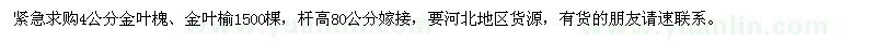 求購4公分金葉槐、金葉榆