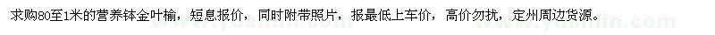 求購營養(yǎng)缽金葉榆