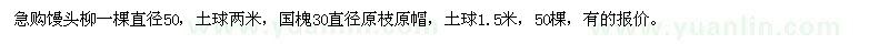 求購(gòu)饅頭柳直徑50 