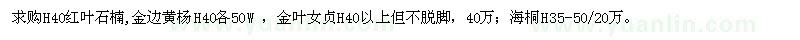 求購H40紅葉石楠、金邊黃楊H40