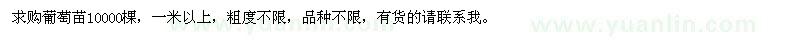 求購葡萄苗10000棵