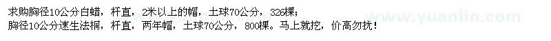 求購胸徑10公分白蠟、胸徑10公分速生法桐