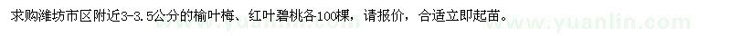 求購3-3.5公分的榆葉梅、紅葉碧桃