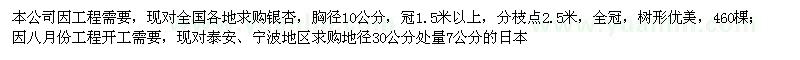 求購銀杏、日本晚櫻