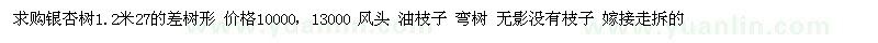 求購銀杏樹1.2米27的差樹形 