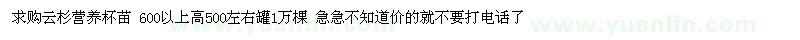 求購云杉營養(yǎng)杯苗 