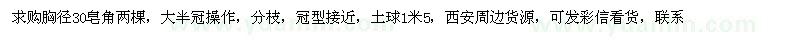求購(gòu)胸徑30皂角