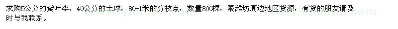 求購(gòu)5公分的紫葉李