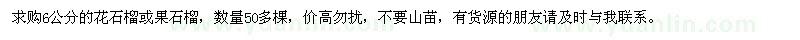 求購6公分的花石榴