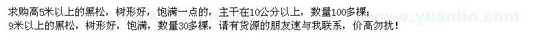 求購5米、9米以上黑松