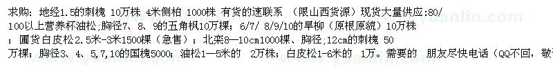 求購刺槐 油松 五角楓 旱柳 白皮松 北欒 國槐 油松 