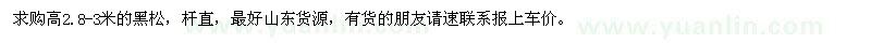 求購高2.8-3米的黑松