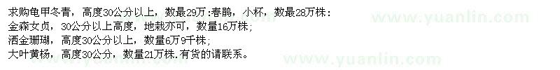 求購龜甲冬青、金森女貞、灑金珊瑚、大葉黃楊