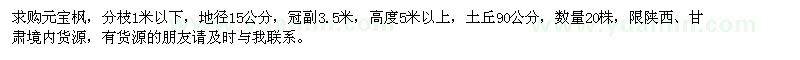 求購元寶楓
