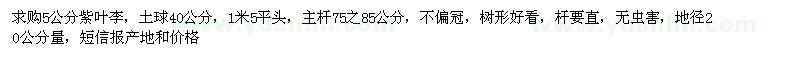 求購5公分紫葉李