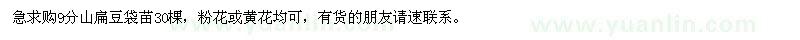 求購(gòu)9分山扁豆袋苗