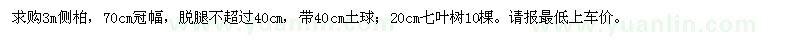 求購3m側(cè)柏、20cm七葉樹