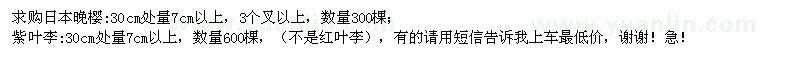 求購(gòu)日本櫻花、紅葉李