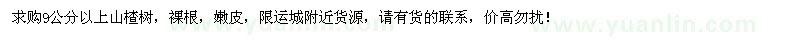 求購9公分以上山楂樹