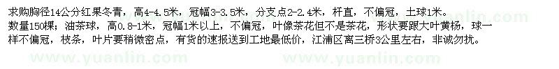 求購胸徑14公分紅果冬青、高0.8-1米油茶球