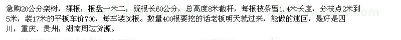 求購20公分欒樹