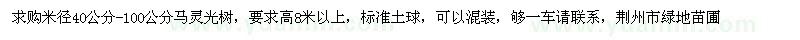 求購米徑40公分-100公分馬靈光樹