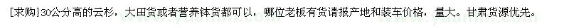 求購30公分高的云杉
