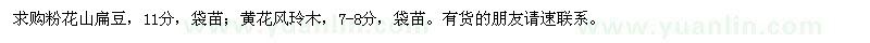 求購(gòu)粉花山扁豆、黃花風(fēng)玲木