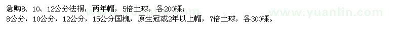 求購法桐、國槐