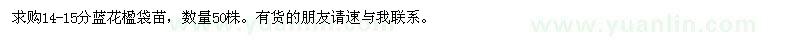 求購14-15分藍(lán)花楹袋苗