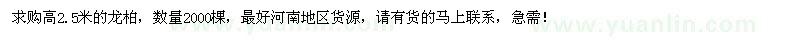 求購高2.5米龍柏