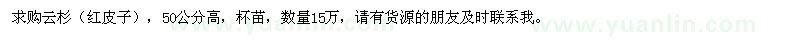 求購云杉（紅皮子）杯苗