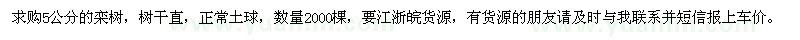 求購5公分的欒樹