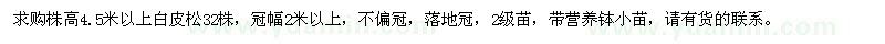 求購(gòu)高4.5米以上白皮松、營(yíng)養(yǎng)缽小苗