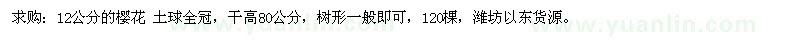 求購(gòu)12公分的櫻花 