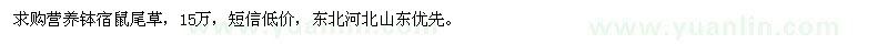 求購(gòu)營(yíng)養(yǎng)缽宿鼠尾草