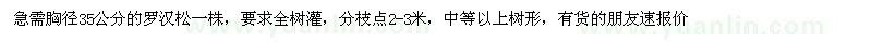 求購(gòu)胸徑35公分的羅漢松