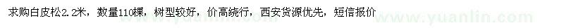 求購(gòu)白皮松