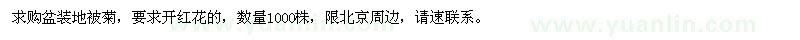 求購(gòu)盆裝地被菊