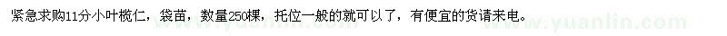 求購11分小葉欖仁