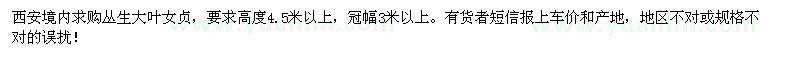 求購叢生大葉女貞高度4.5米以上