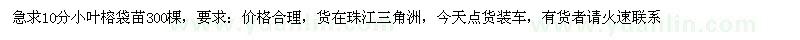 求購10分小葉榕袋苗
