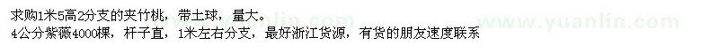 求購夾竹桃、紫薇 