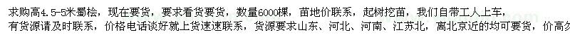 求購(gòu)高4.5-5米蜀檜