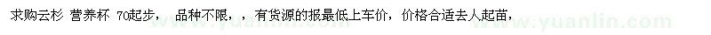 求購云杉營養(yǎng)杯