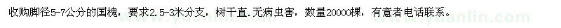 求購胸徑5-7公分的國槐